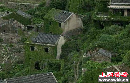 夜狸猫事件发生地
