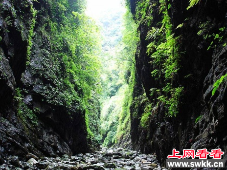 四川黑竹沟