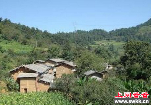 迷魂阵村