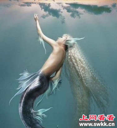 南海鲛人真的存在吗
