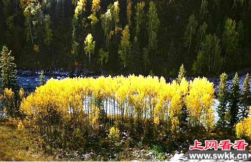 哈纳斯湖