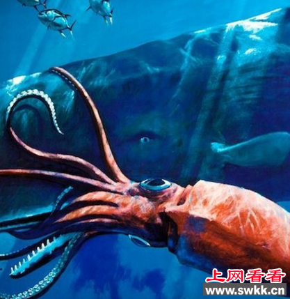 世界上眼睛最大的动物