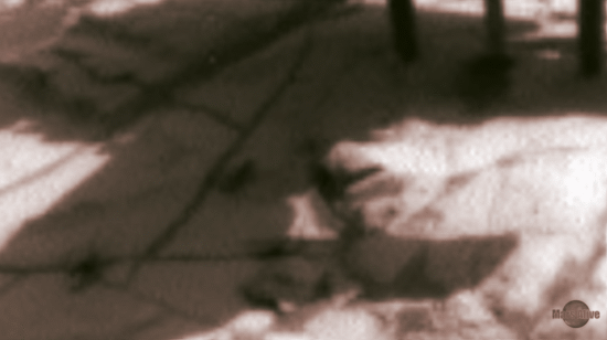 κ˵ټҪټ
