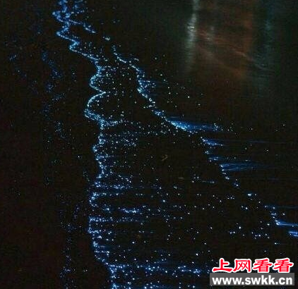 荧光海滩