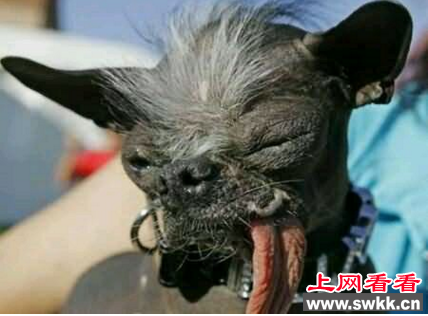 艾尔伍德