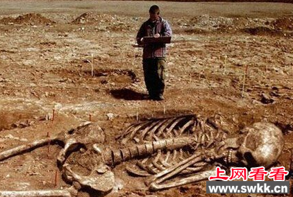 巨人骨骸