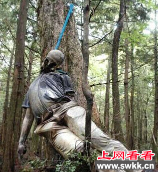 青木原森林