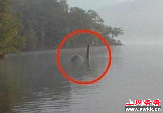 温德米尔湖水怪