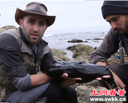 巨型鼻涕虫