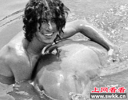 美国男子与海豚多次发生关系
