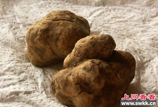 世界上最昂贵的食物