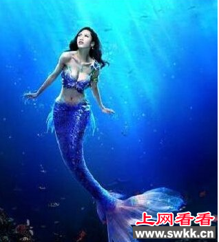 美人鱼之谜