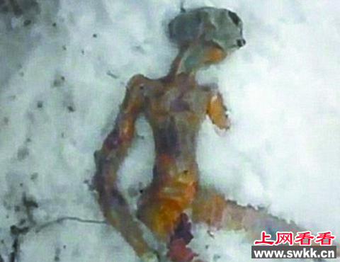 外星人