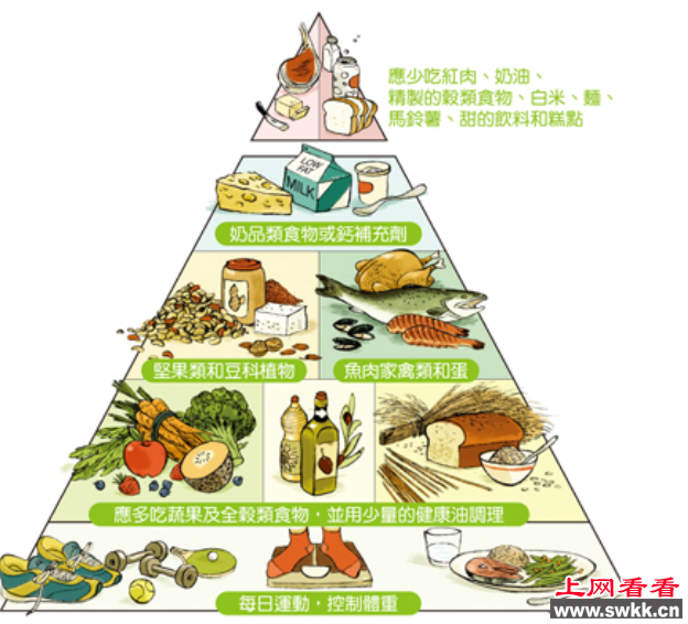 健康膳食金字塔