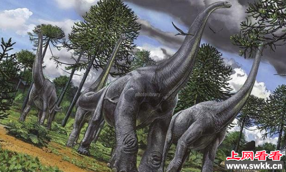 世界上最大的恐龙