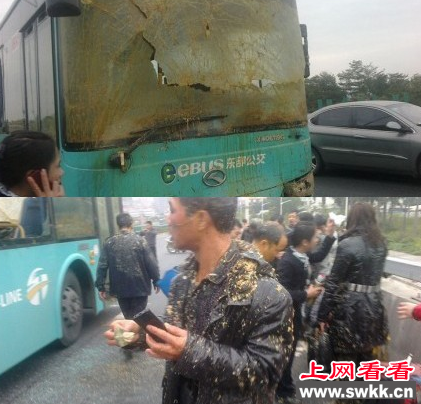 公交车追尾拉粪车