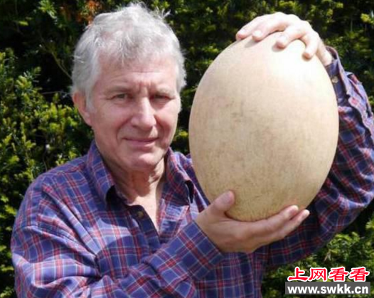 世界上最大的破冰船