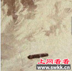 最早UFO照片