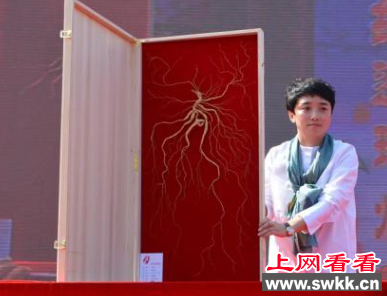 世界上最大的人参