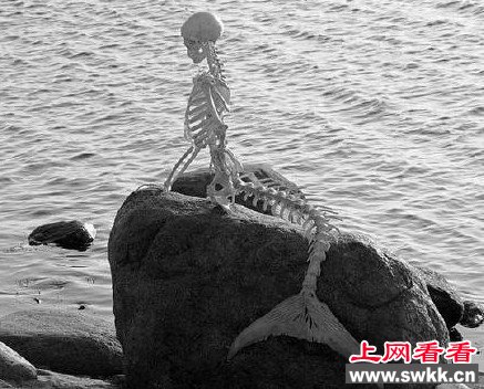 ŹǼͼƬ֤