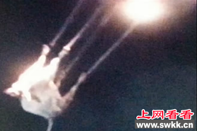 ufo绑架奶牛