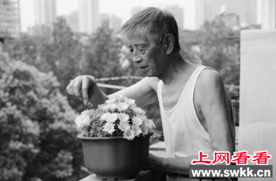 篮球大小仙人球竟开102朵花