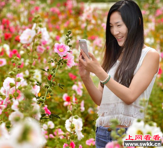 站在花丛中就有好心情