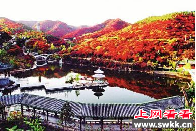 红叶谷黄栌红似火