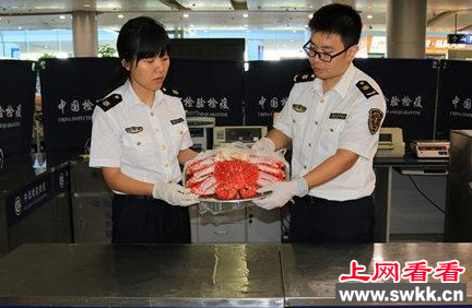 宁波口岸截获一只1.13公斤重熟蜘蛛蟹