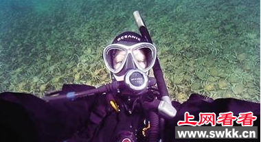 蜘蛛蟹大迁徙 成千上万只蜘蛛蟹齐聚墨尔本海湾