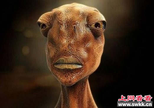 月球上的不明飞行物