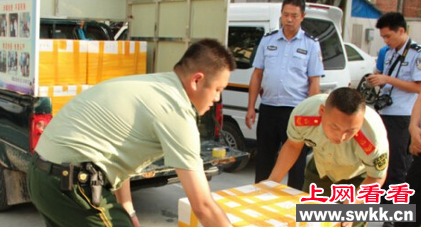 广西边防查获八箱活体海蛇