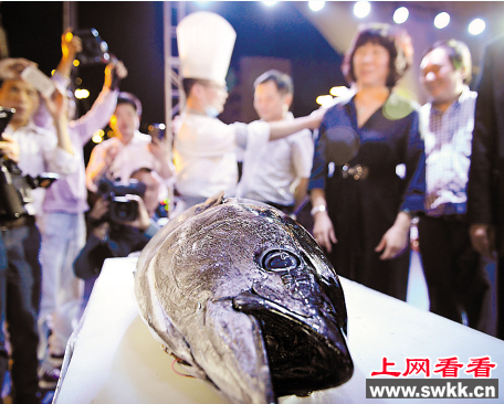广州一条蓝鳍金枪鱼拍出55000元高价