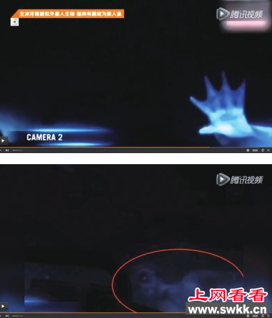 深海惊现外星人身影