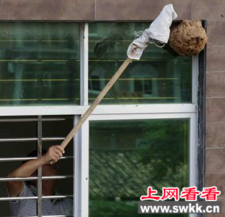 居民擅自处理窗外虎头蜂蜂巢被蛰