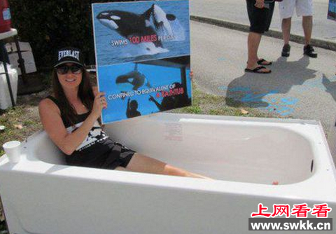 女子坐浴缸一个月为抗议水族馆圈养虎鲸