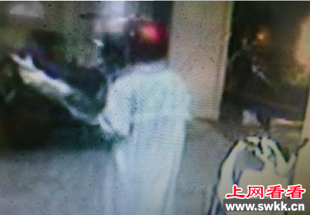 男子偷红龙鱼被捕