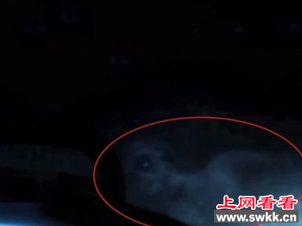 北冰洋惊现外星人身影