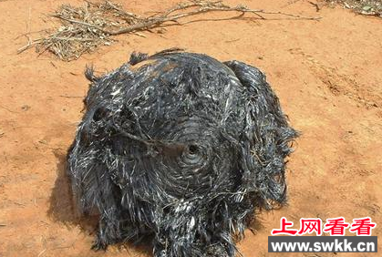 不明飞行物坠落印度洋