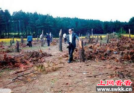 UFO都溪毁林事件