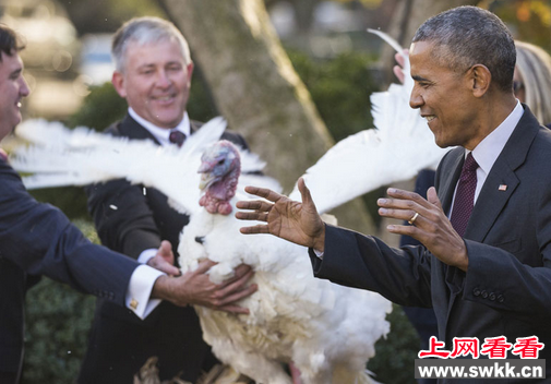感恩节之际 奥巴马放生幸运火鸡