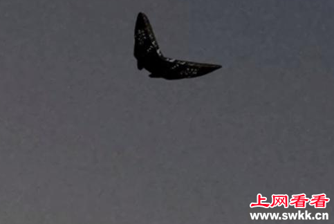 波士顿上空不明飞行物