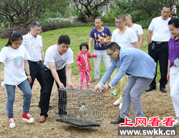 农民误抓珍稀动物夜鹭 志愿者将其救回放生