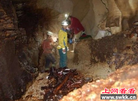 研究者在新西兰洞穴中考察