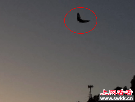 波士顿上空出现不明飞行物