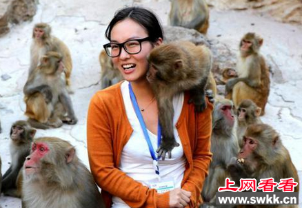 河南一景区猴子对女游客袭胸