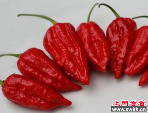 最辣的辣椒