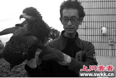 老鹰受伤被小孩捡回 最后得知竟是保护动物黑耳鸢