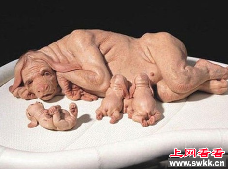 猪人