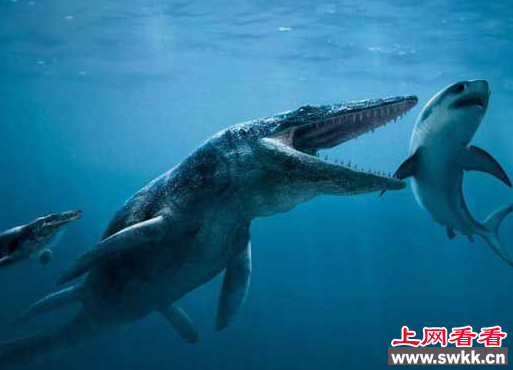 沧龙
